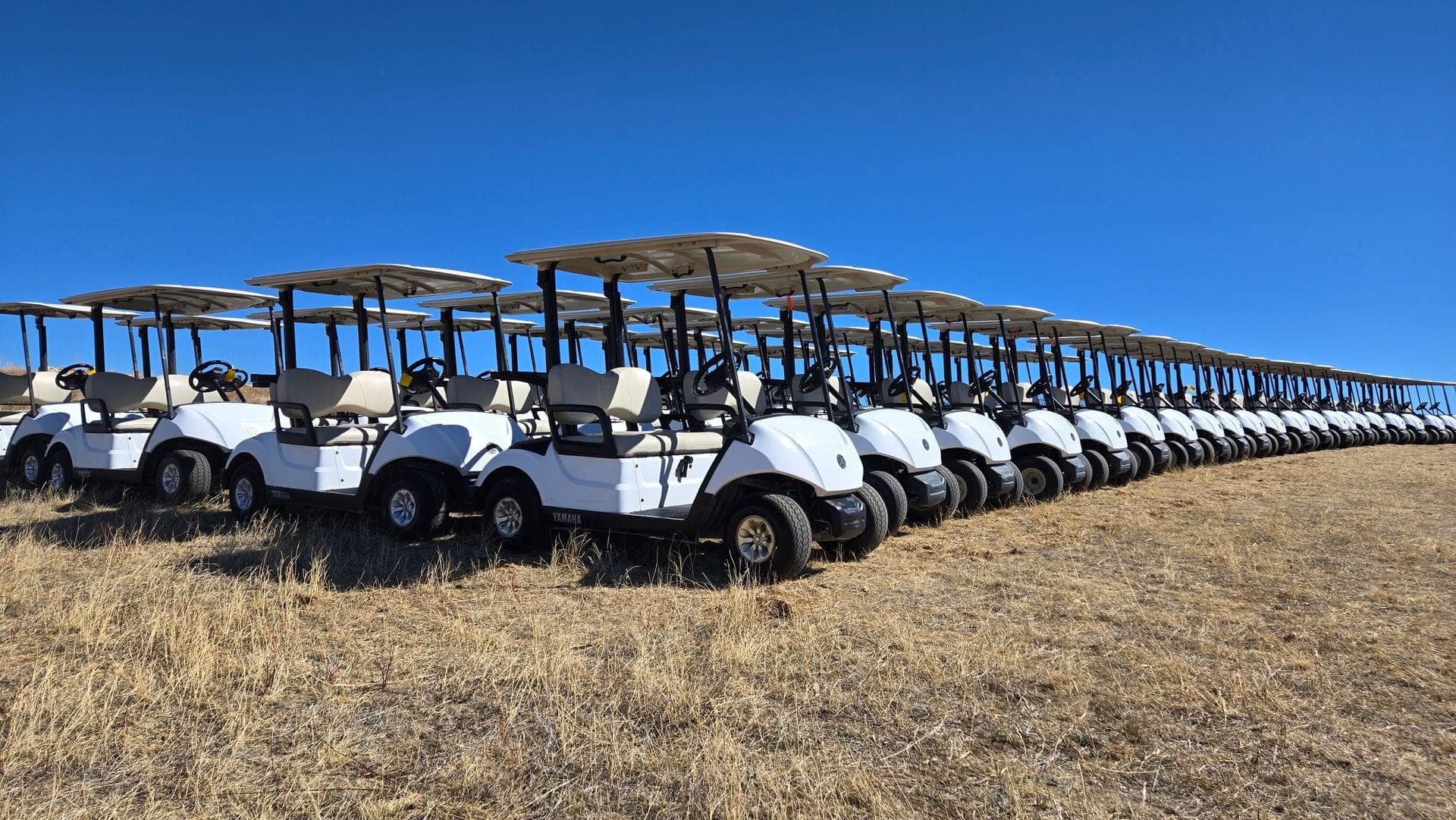 Golf carts at event venue
